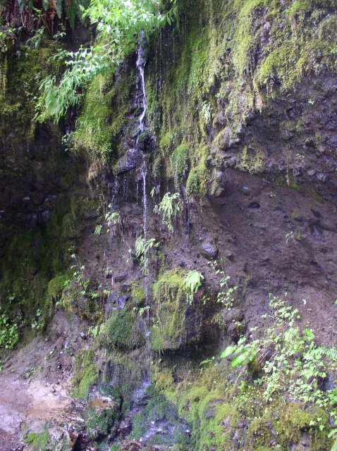 6.03.06 Eagle Creek 049 